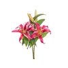 LIRIO VETTO 070 CM HT 3/4 FLS