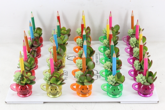 <h4>arr3 AD - Smiley cup mix x25</h4>
