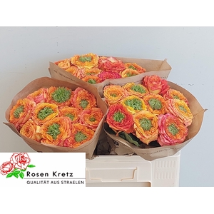 R GR GR ISLAND SAMOA