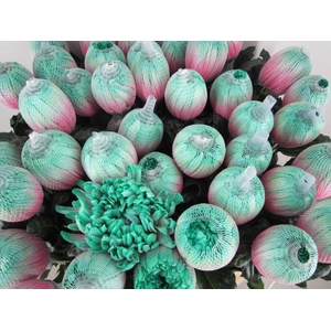 Chr G Antonov Bubblicious