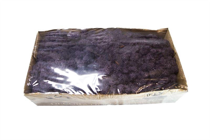 <h4>IJslandsmos gepreserveerd aubergine</h4>