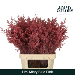 Lim Misty Blue L90 Pink