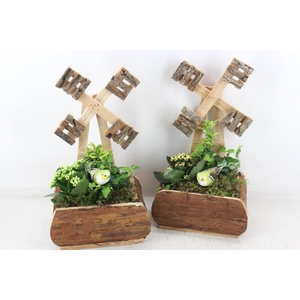 arr2 TD - Hout windmolen - geel/wit