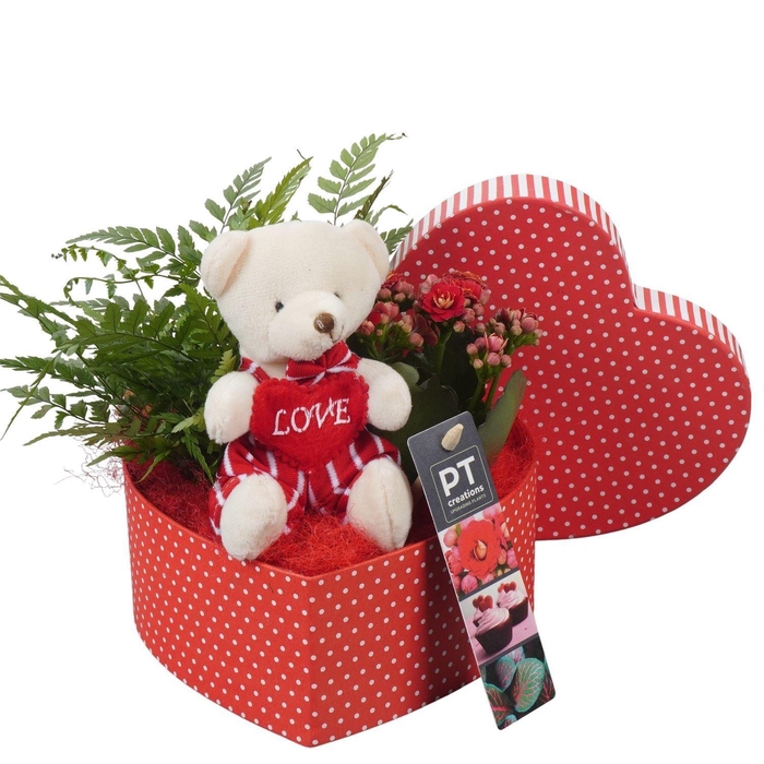<h4>2370 ROOD GIFTBOX</h4>
