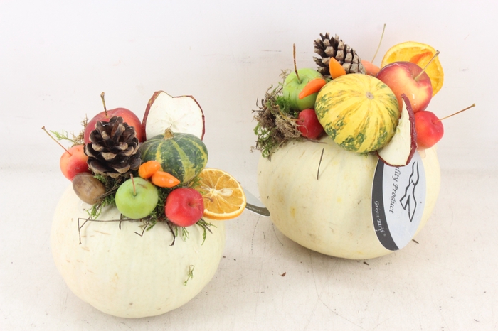 <h4>arr4 Sierfruit GB - Pompoen wit x4</h4>