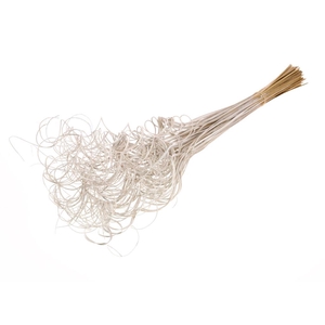 Curly Ting Ting (palm) 100pc White Misty