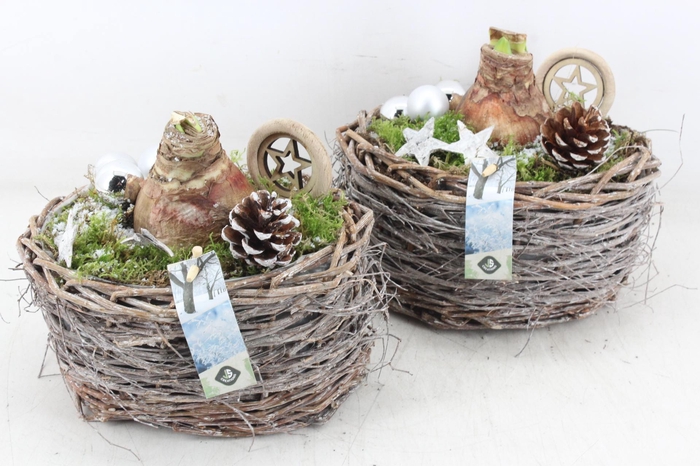 <h4>arr4 Amaryllis JS - Wilg ovaal 338/4 Zilver</h4>