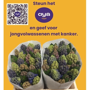 HYAC GEM 5 KLEUREN 2x25