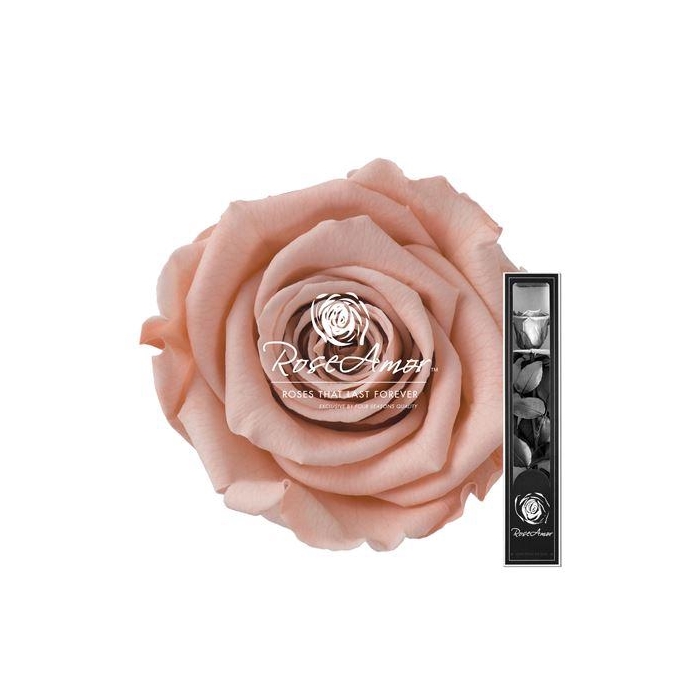 <h4>30cm Stem Pea01</h4>