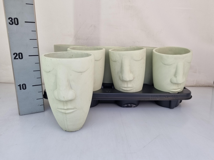 <h4>HUIS EN TUINDECO H%</h4>