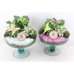 arr2 PL - Glas sofia op voet x4 - roze/wit