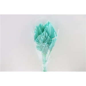 Dried Palm Spear 10pc Aqua Blue Bunch