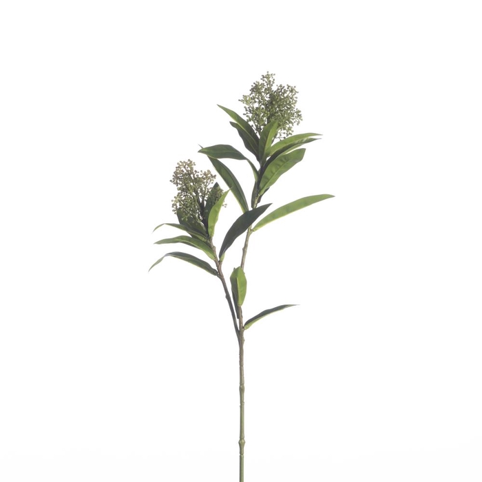 <h4>AF Skimmia L70cm green</h4>