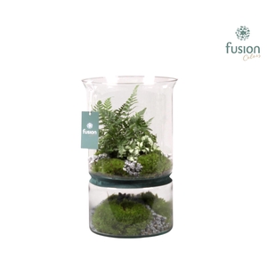 Green Bottle duopot XL met arrangement