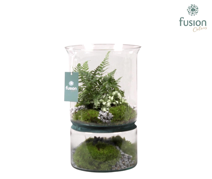 <h4>Green Bottle duopot XL met arrangement</h4>
