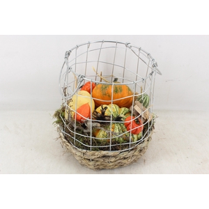 arr4 Sierfruit MB - Gaasmand XL