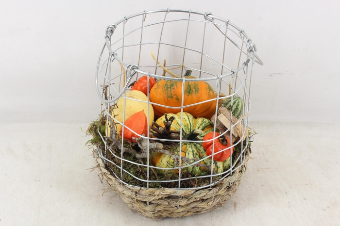 <h4>arr4 Sierfruit MB - Gaasmand XL</h4>
