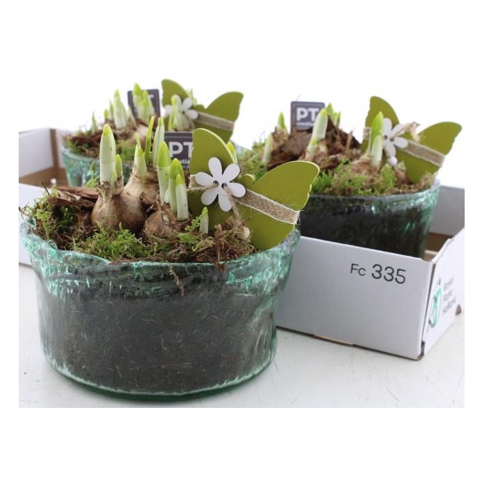 <h4>ARR N TETE A TETE</h4>