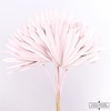 Dried Palm Sun 10pc Light Pink Bunch