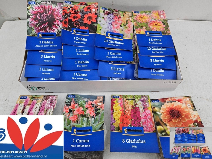 <h4>ARR TUINPLANTEN</h4>