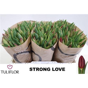 Tu En Strong Love