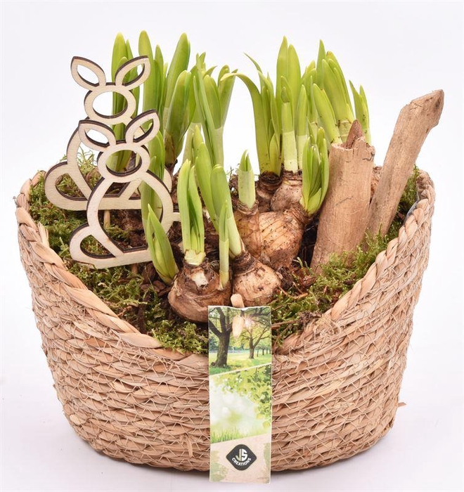 <h4>Jute mand ovaal 23x18.5cm</h4>