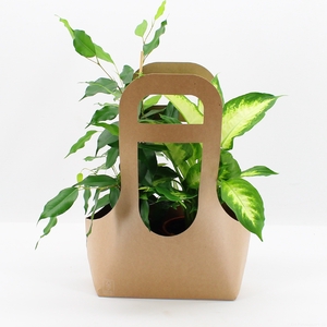 Tas 2 Ecotas met 2 planten