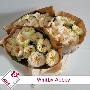 R Gr Whitby Abbey Wans