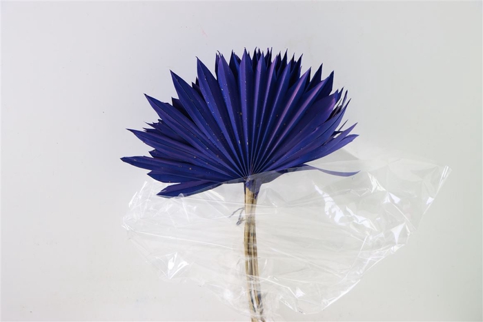 <h4>Dried Palm Sun 6pc Dark Blue Bunch</h4>