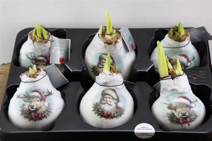 Wax Hipp Crafts Santa En Friends Mix