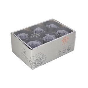 rose standard silky grey