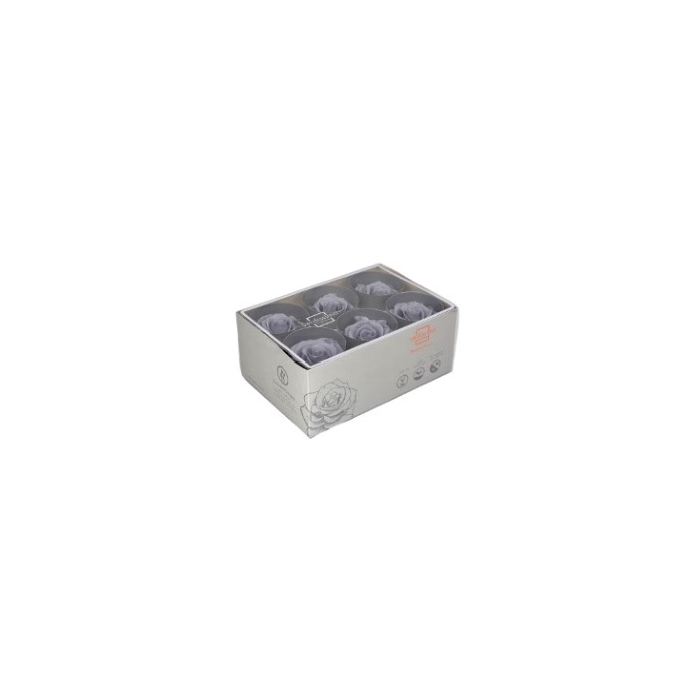 <h4>rose standard silky grey</h4>