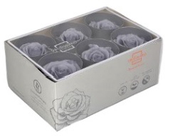 rose standard silky grey