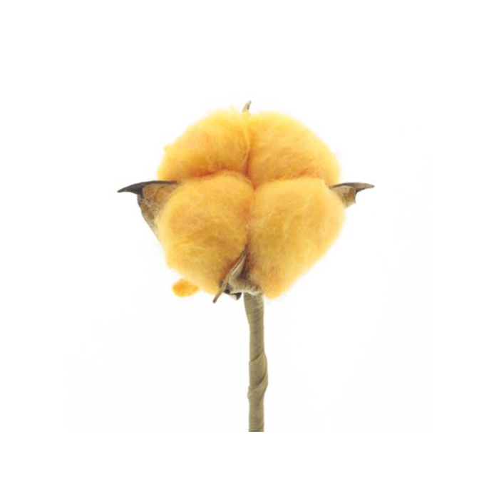 <h4>Bijsteker 50cm Katoen 5cm</h4>