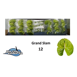 ANTH A GRAND SLAM