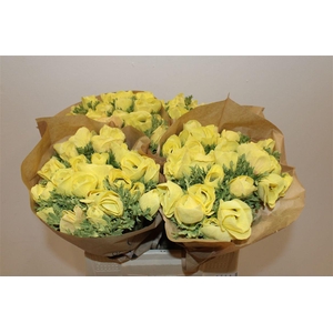 Anem Marianne Powder Yellow