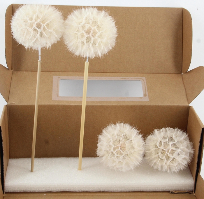 <h4>DROOGBL BEWERKT H%</h4>