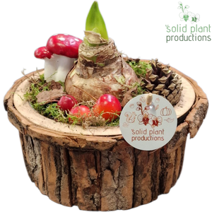 BSMA002 Amaryllis Bark S Medium Brown