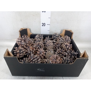 Decoratieve materialen   ...H%