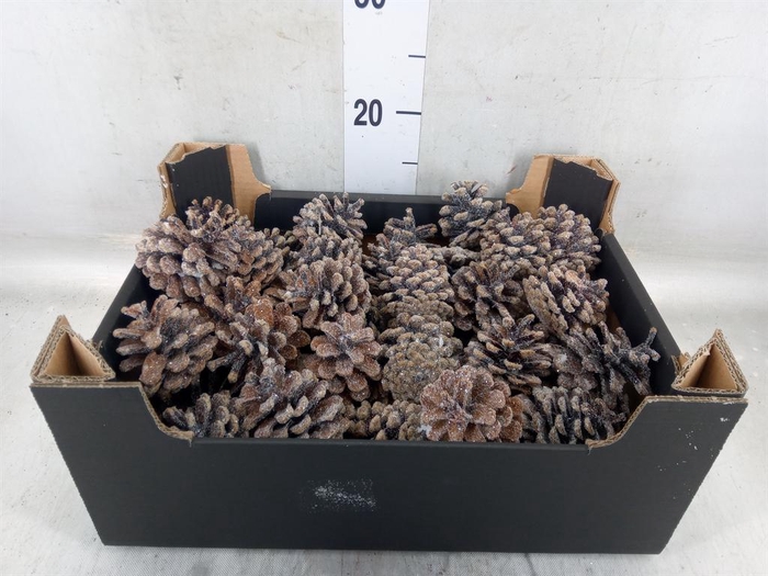 <h4>Decoratieve materialen   ...H%</h4>