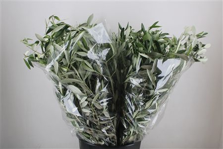 <h4>OLIJF 200GR P BUNCH</h4>