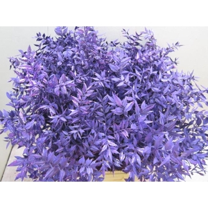 Ruscus Prik Paars Glitter