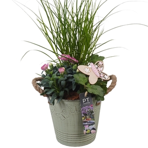 PTPP6827 Arrangement Patio in metalen bak