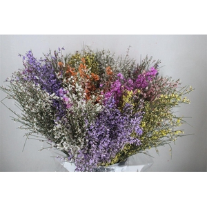 Ginster 200gr Mix Pbs