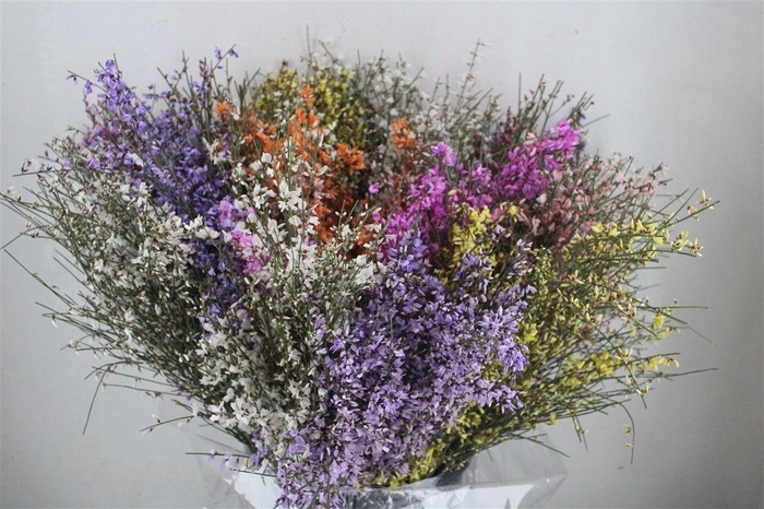 <h4>Ginster 200gr Mix Pbs</h4>