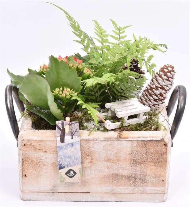 <h4>Hout rechthoek met handvat 20x13cm</h4>