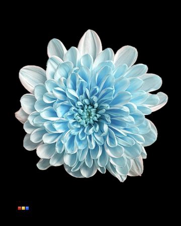 <h4>Chr T Altaj Pastel Blue</h4>