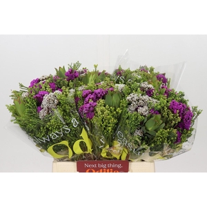 BQ Wild Flower