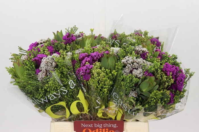 <h4>BQ Wild Flower</h4>