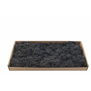 Moss Reindeer Moss 500gr Black